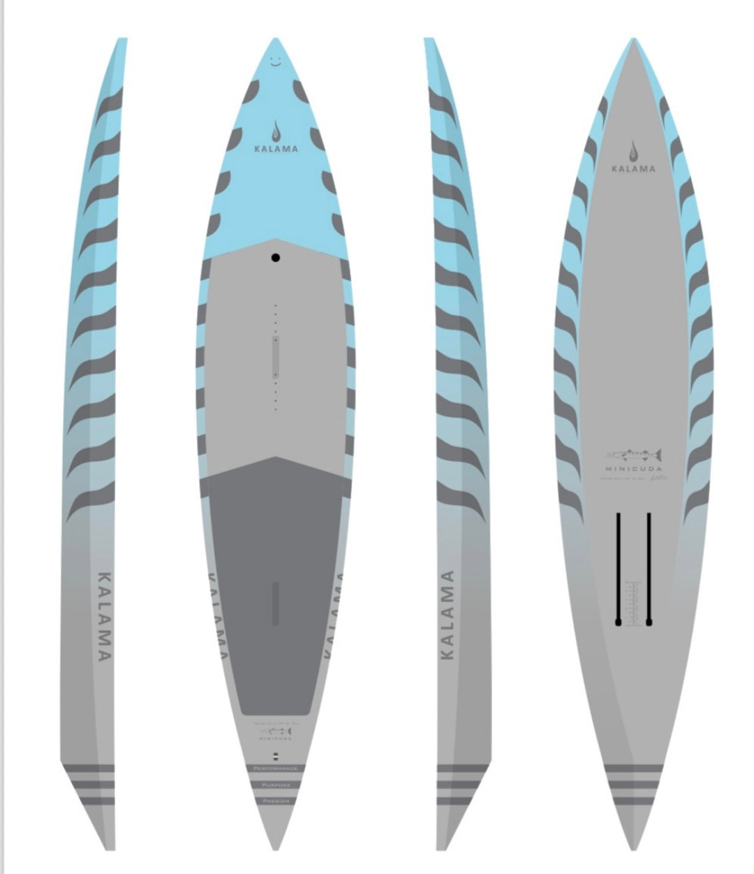 V2 BARRACUDA - MINI CUDA - DOWNWIND FOIL BOARD